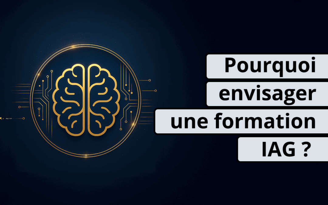 IAG : pourquoi faire une formation ?