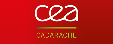 Logo client formation - CEA Cadarache